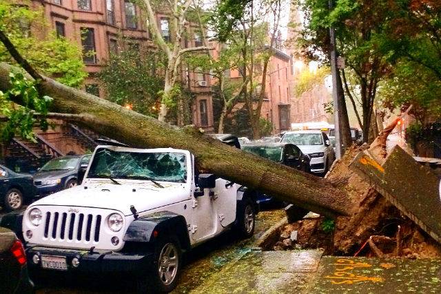 Park Slope in the aftermath of yesterday's deadly thunderstorms.